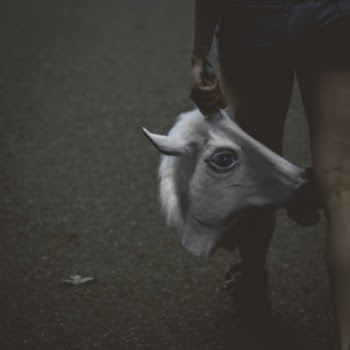 Horse Head Costume