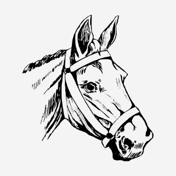 Horse head drawing, vintage wildlife | Free Photo - rawpixel
