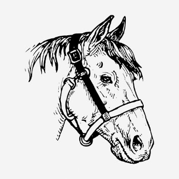 Horse head drawing, vintage wildlife | Free Photo - rawpixel