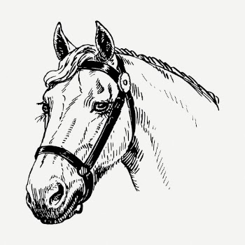 Horse head drawing, vintage wildlife | Free PSD - rawpixel
