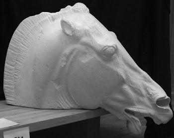 Horse head | Free Photo - rawpixel
