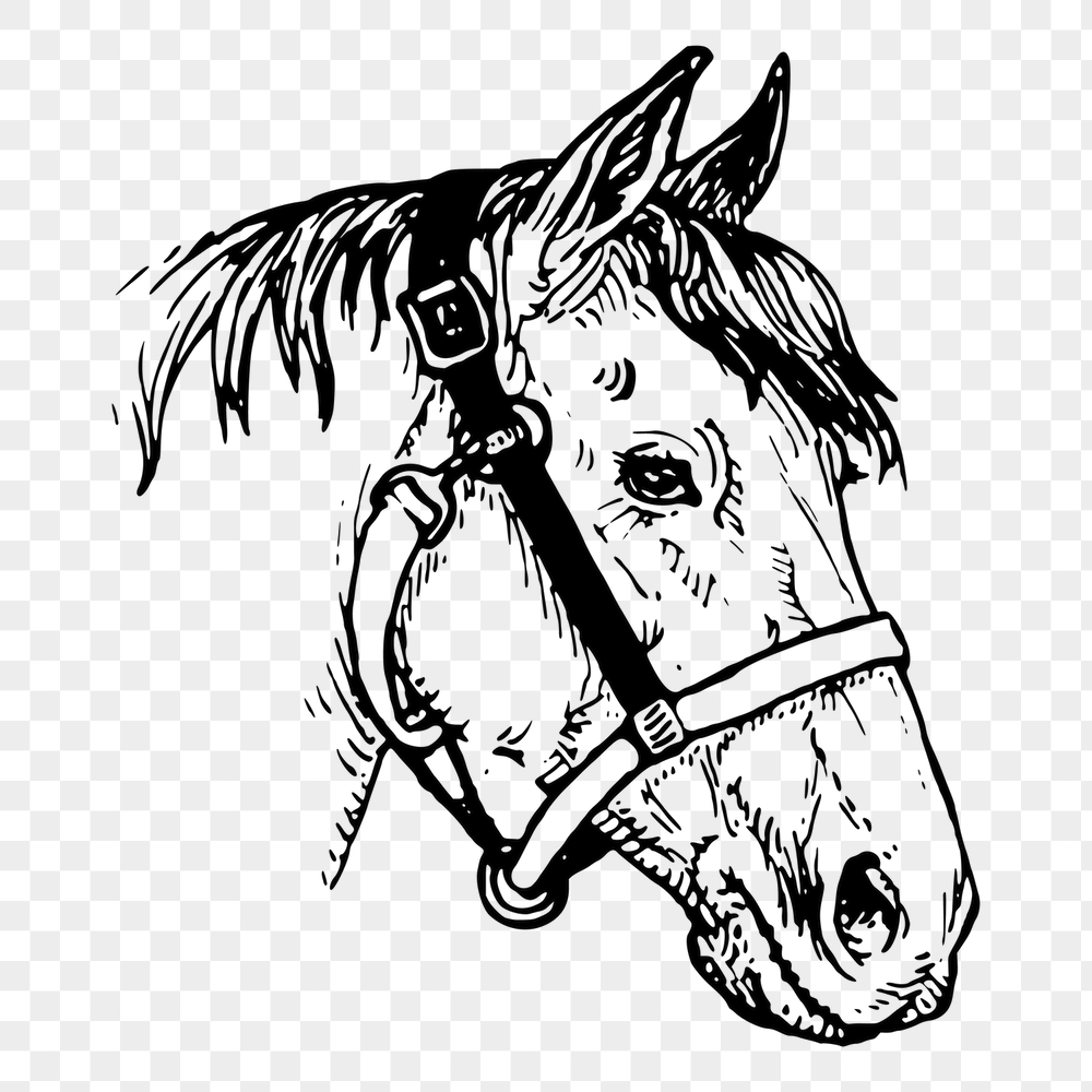 Horse head png sticker, vintage | Free PNG - rawpixel