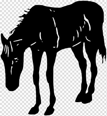 Horse , Horses transparent background PNG clipart