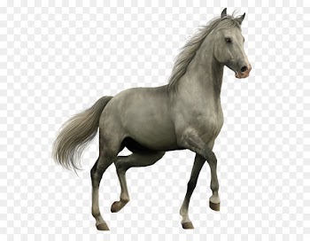 Horse Icon - horse 