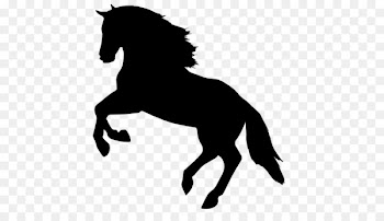 Horse Icon - Horse Silhouette Vector 