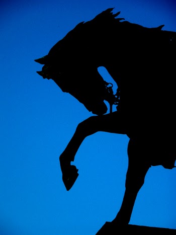 Horse_in_the_night.jpg