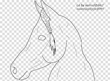 Horse LA, line art drawing of a horse transparent background PNG clipart