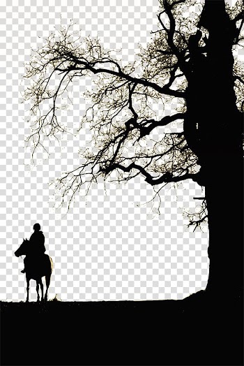 Horse Light Tree, Tree rider transparent background PNG clipart
