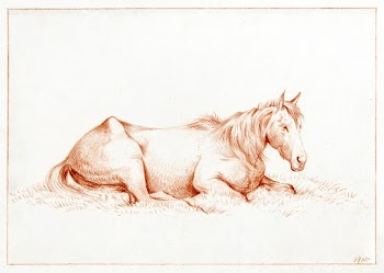Horse lying in the grass (1815) drawing in… | Free public domain illustration