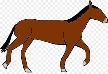 horse mane mare sorrel foal