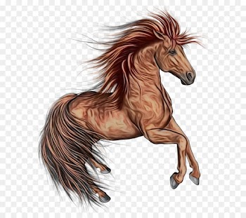 horse mane mustang horse sorrel liver