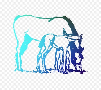 Horse Mare Foal Illustration Drawing -  