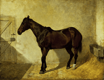 Horse. Original from the Minneapolis | Free Photo - rawpixel