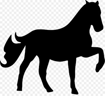 Horse Orlando Equine Veterinary Care, Inc. Stencil Trot Veterinarian - horse 