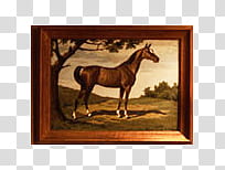 Horse painting with brown frame transparent background PNG clipart