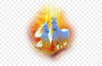 Horse Party Birthday Unicorn Parchment - horse 