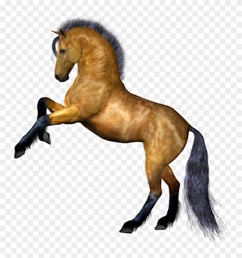 Horse Png Image, Free Download Picture - Horse Png Clipart ...