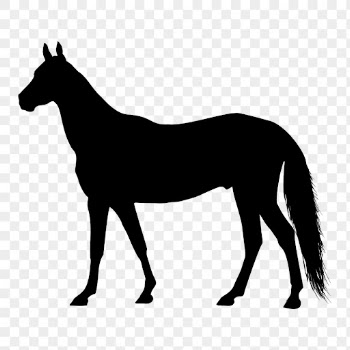 Horse png sticker animal silhouette, | Free PNG - rawpixel