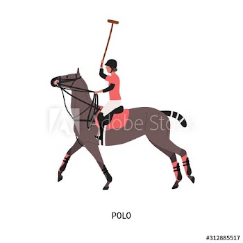 Horse polo flat vector illustration