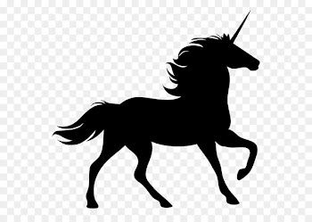 Horse Pony Rearing - horse 