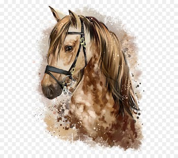 Horse Pony Watercolor painting Drawing - horse 