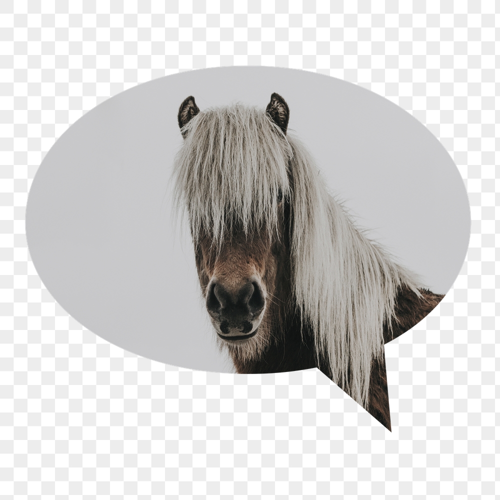 Horse portrait png badge sticker, | Free PNG - rawpixel