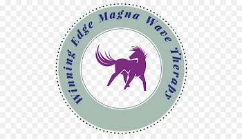 Horse Pulsed electromagnetic field therapy Physician Arthritis - horse 