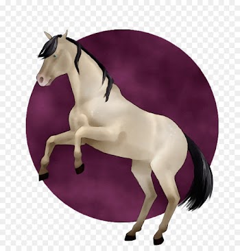 horse purple violet mare stallion