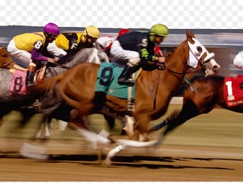 Horse racing Sports betting Race track - Horse racing vector 