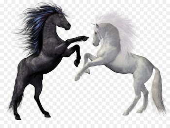 Horse Rearing Stallion Equestrian Unicorn - horse 