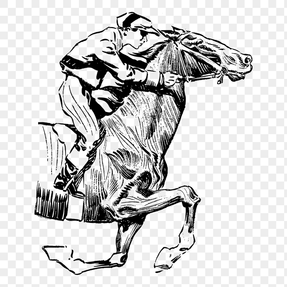 Horse rider png sticker, vintage | Free PNG - rawpixel