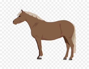 Horse Royalty-free Stock photography Pony Illustration - horse 