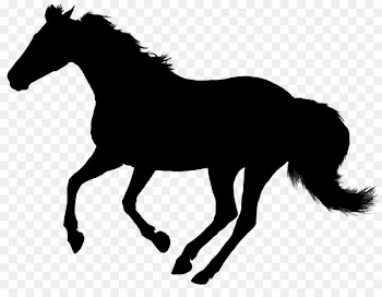 Horse, Royaltyfree, Silhouette, Mammal PNG