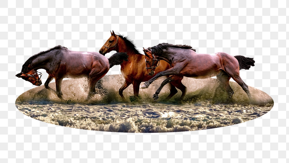 Horse running png badge sticker, | Free PNG - rawpixel