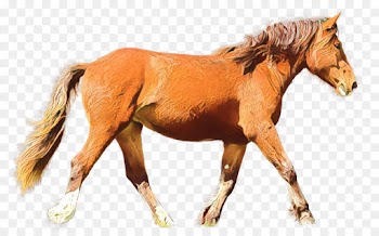 horse sorrel animal figure mare stallion