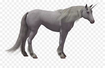 Horse Stallion Colt Pony Foal - Unicorn background 