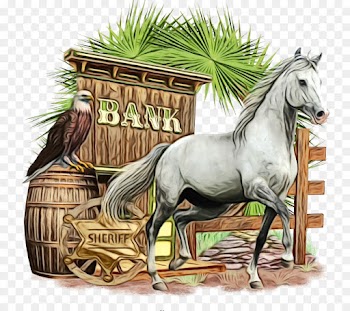 horse stallion mare mane grass