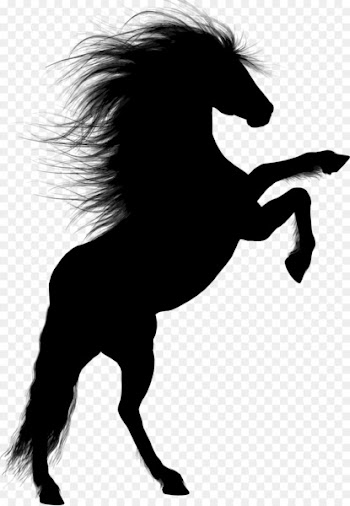 Horse Stallion Rearing Silhouette - horse 