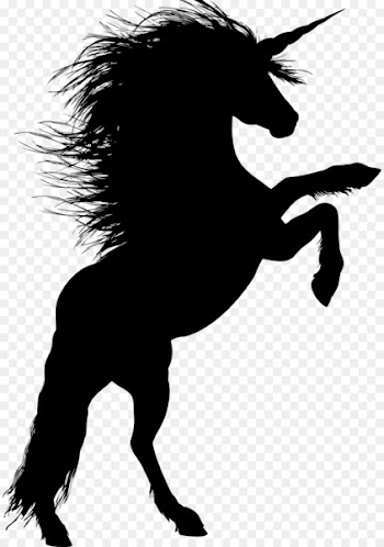Horse Stallion Rearing Silhouette Unicorn - horse riding 