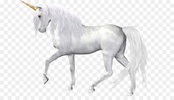 Horse The Black Unicorn Clip art - horse 