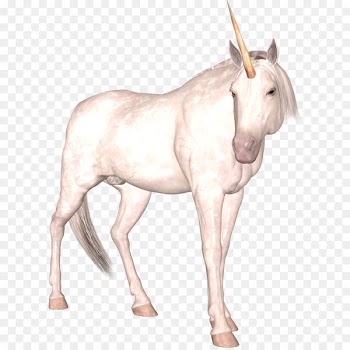Horse The Lady and the Unicorn Illustration - Unicorn PNG 