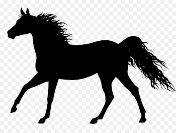 Horse, Tshirt, Sweatshirt, Mammal PNG
