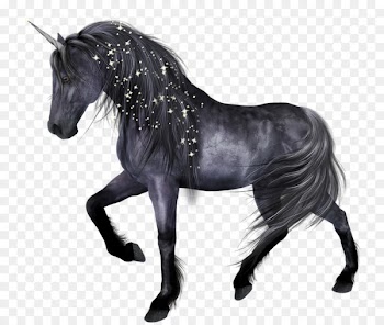 Horse Unicorn - Beautiful black horse 