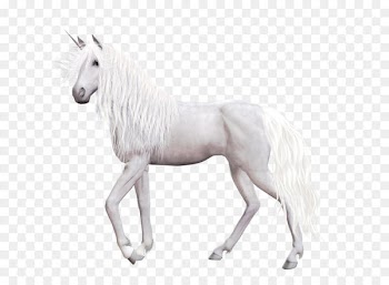 Horse Unicorn Clip art - Unicorn PNG 