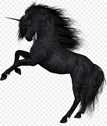Horse Unicorn Collage Clip art - unicornio 