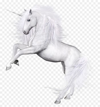 Horse Unicorn Download - Whitehorse 
