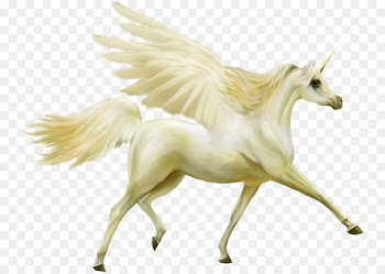 Horse Unicorn Pegasus Legendary creature - horse 