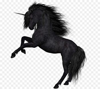 Horse Unicorn Photography Clip art - horse 