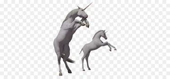 Horse Unicorn PhotoScape - Unicorn PNG 