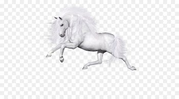 Horse Unicorn Portable Network Graphics Image Pegasus - horse 